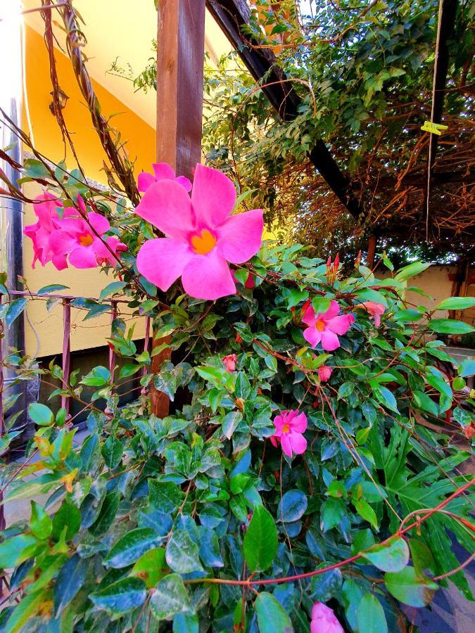Palmas Anna'S Rooms Is Procilis Palmas Arborea エクステリア 写真