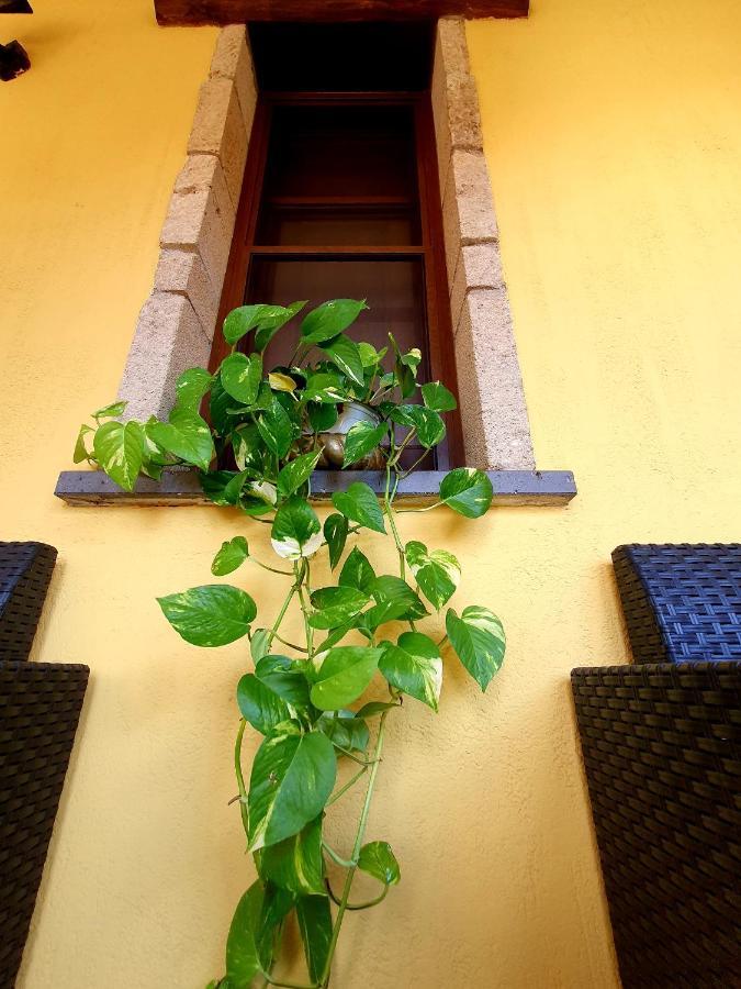 Palmas Anna'S Rooms Is Procilis Palmas Arborea エクステリア 写真